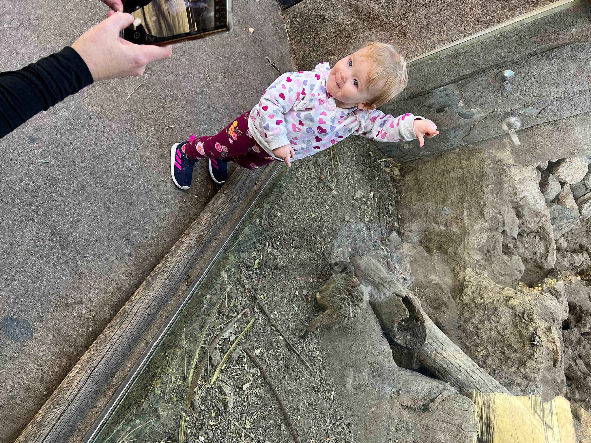 Maleena is registered to the contest to win money with this photo: asphalt, baby, child, city, concrete, flooring, foot, fun, human_body, human_leg, leg, leisure, person, recreation, road_surface, shadow, sidewalk, sitting, soil, street