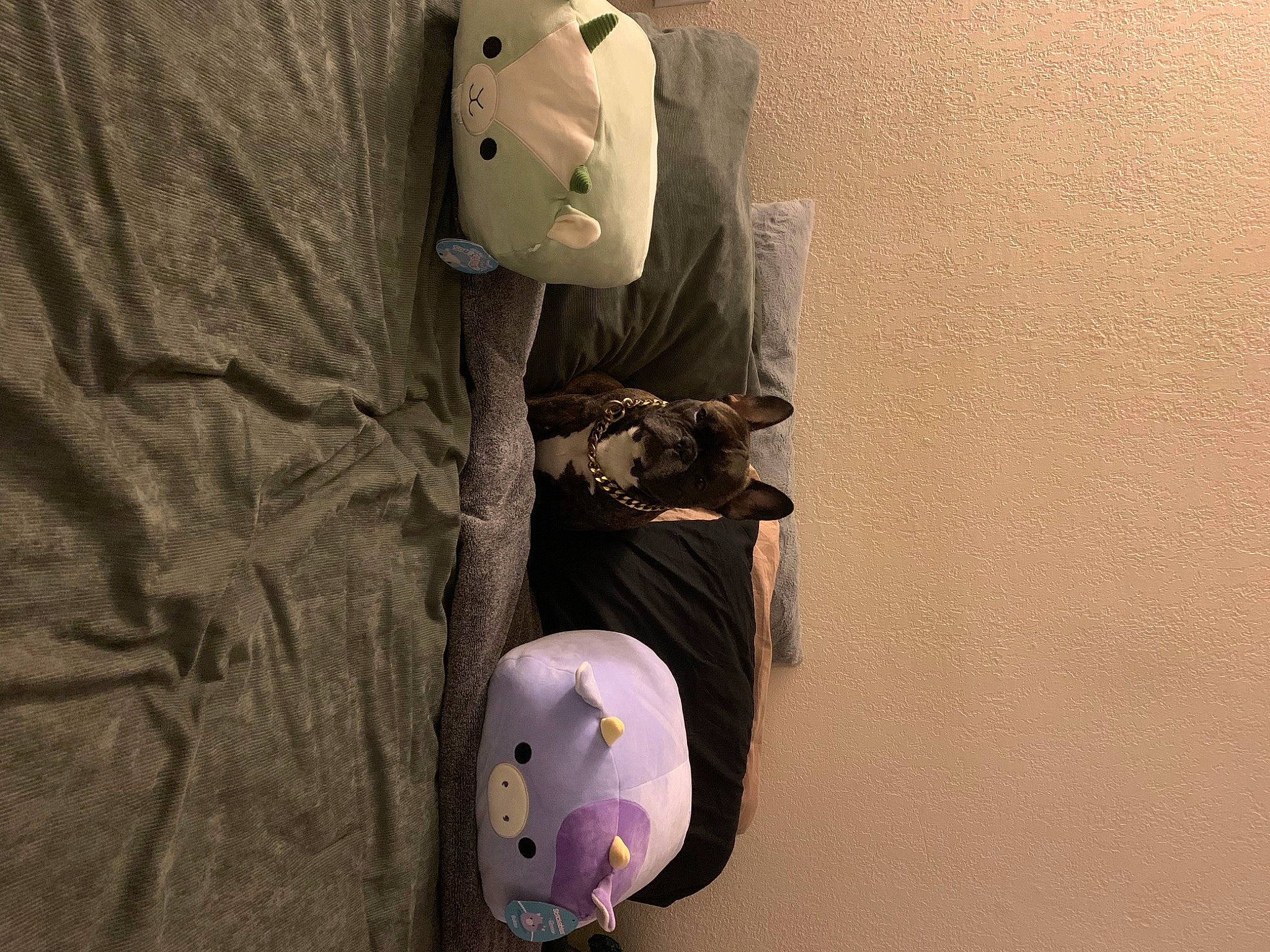 Hobbs joined the competition — help win amazing prizes! bag, button, dress_shirt, fashion_accessory, flooring, pattern, personal_protective_equipment, pocket, room, sleeve, toy, wood