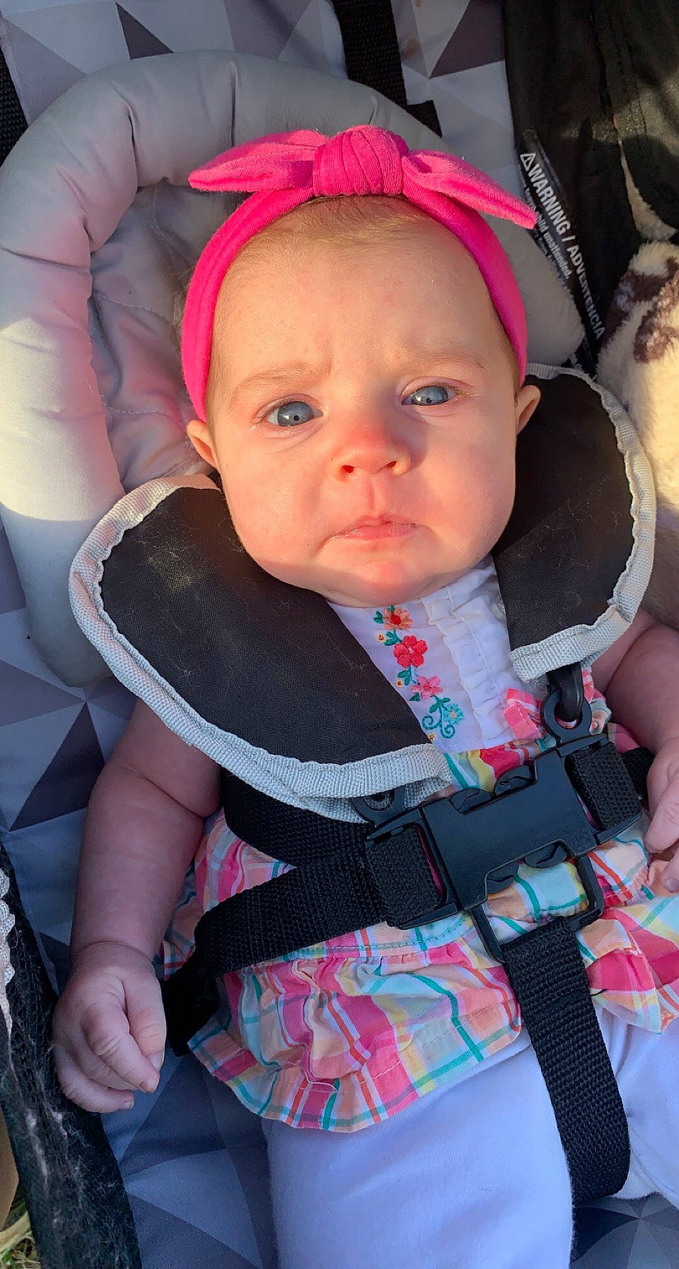 Leona is registered to the contest to win money with this photo: baby, baby_carriage, baby_products, baby_toddler_clothing, beauty, cheek, child, comfort, eyelash, face, fashion_accessory, fun, happy, lip, pattern, person, pink, skin, sleeve, strap