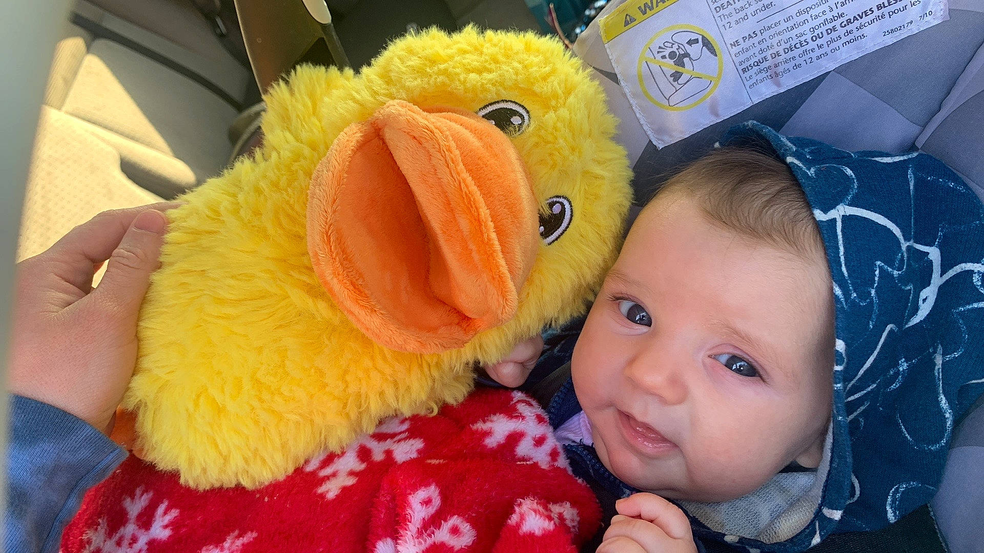 Leona is registered to the contest to win money with this photo: baby, baby_toddler_clothing, baby_toys, beak, bird, cheek, child, comfort, fun, fur, happy, nose, person, plush, room, selfie, smile, stuffed_toy, textile, toddler