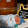 newborn, baby, infant, sleeping, swaddled, pacifier, blue_cap, blanket, bunny_sign, welcome_sign, nursery, hospital, crib, portrait, closeup, indoors, family_milestone, birth_announcement, resting, cute