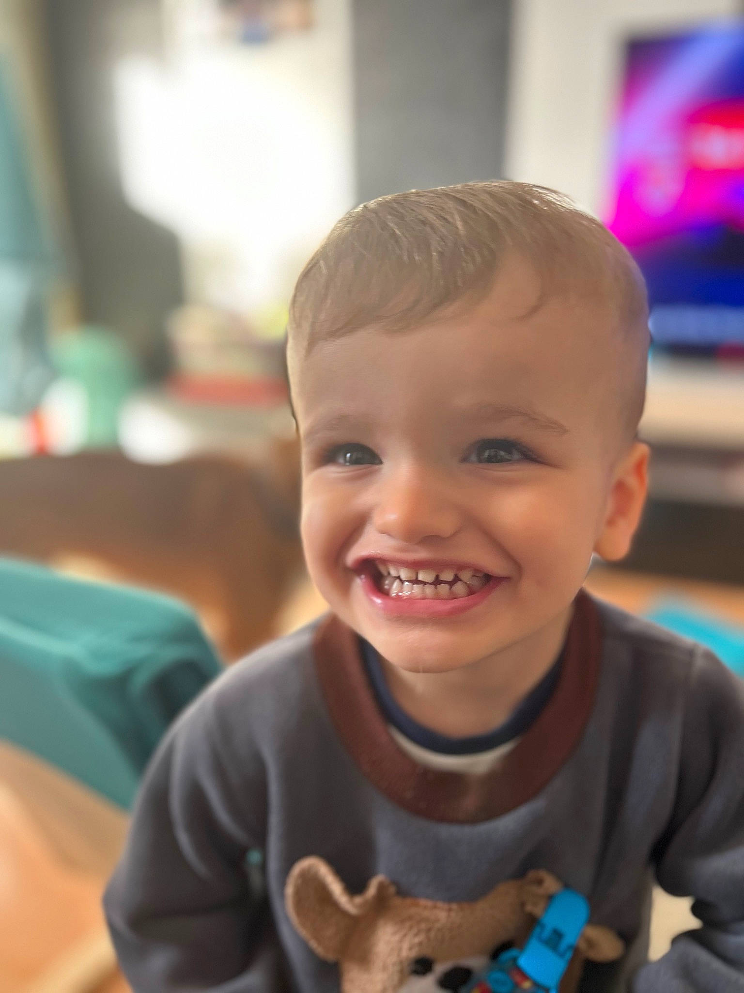 Swan a rejoint le concours — aidez-le/la à gagner de superbes lots ! baby, child, chin, event, fun, happy, head, iris, joy, laugh, leisure, nose, person, play, recreation, sitting, skin, smile, t_shirt, toddler