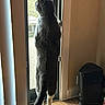 Furby joined the competition — help win amazing prizes! cat, gray_cat, white_paws, standing, indoors, doorway, window, looking_outside, back_view, tail, fur, ears, wooden_floor, sunlight, home, heater, door, natural_light, pet, animal