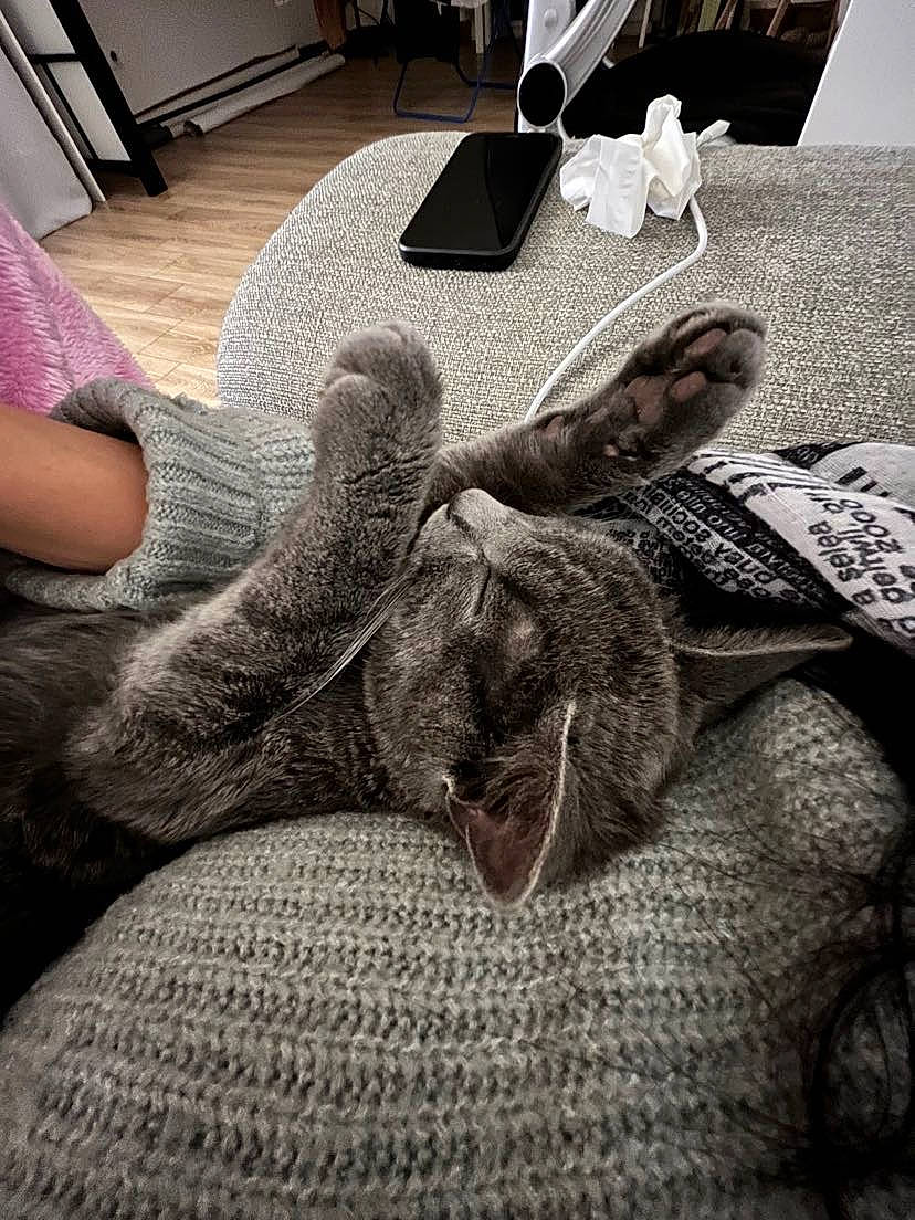 Tiago participe au concours pour gagner de l'argent avec cette photo : black, comfort, felidae, floor, flooring, foot, gesture, grey, human_leg, living_room, monochrome, monochrome_photography, nail, room, selfie, sitting, small_to_medium_sized_cats, style, whiskers, wood