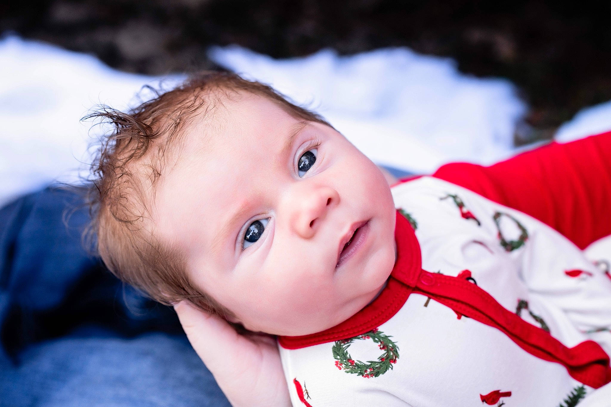 Coen is registered to the contest to win money with this photo: baby, baby_toddler_clothing, carmine, cheek, child, collar, eyebrow, eyelash, flash_photography, grass, happy, iris, lip, person, portrait_photography, sleeve, toddler, tree, winter, wood