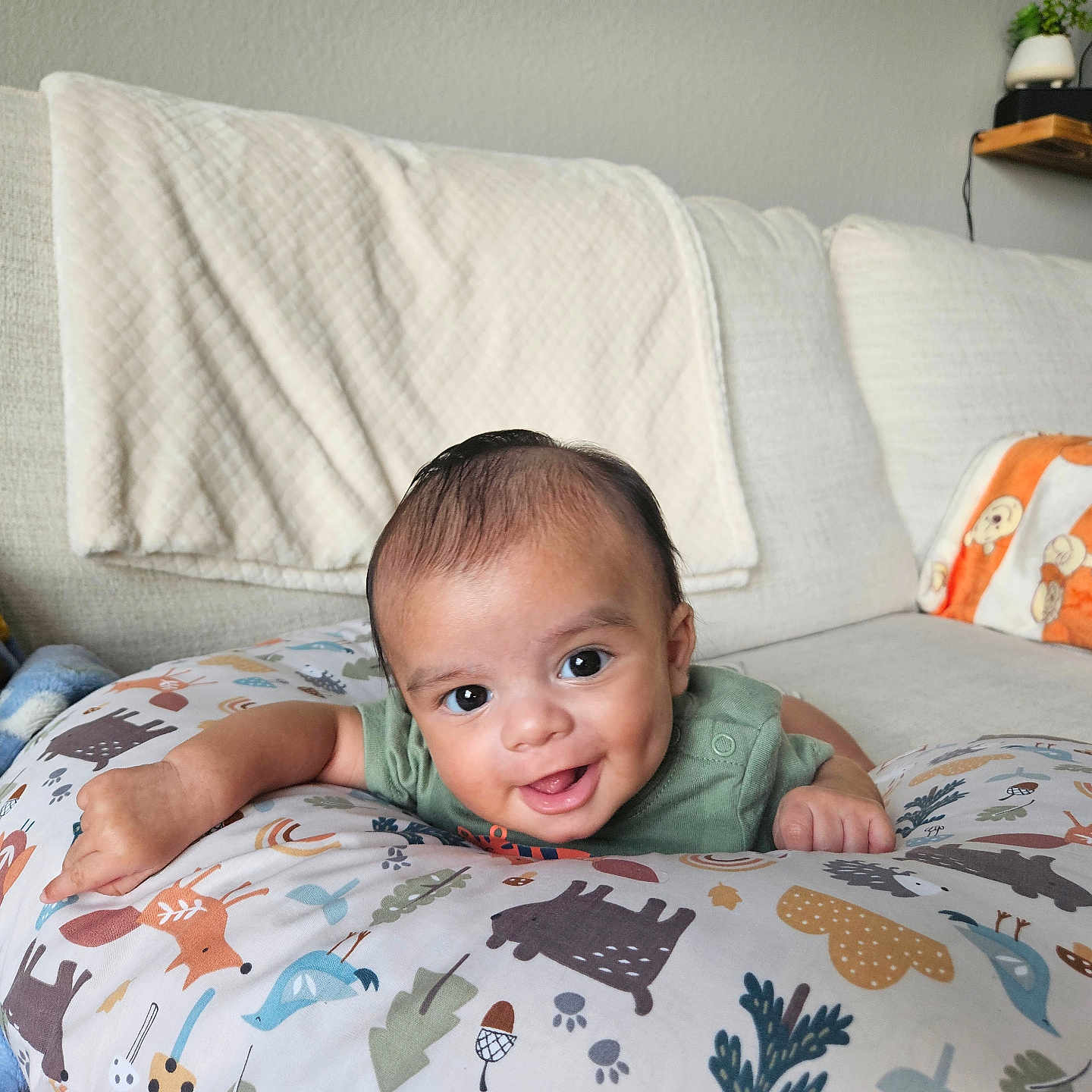 Raiden Ian joined the competition — help win amazing prizes! animal_print, baby, blanket, child, colorful, couch, cozy, cute, happy, home, indoors, infant, living_room, person, pillow, portrait, resting, smiling, soft_toys, young_child