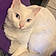 Jasper
