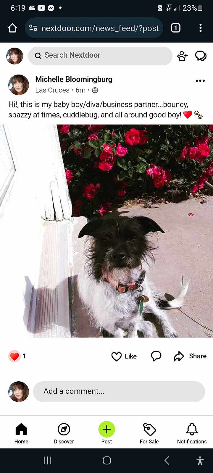 Benji