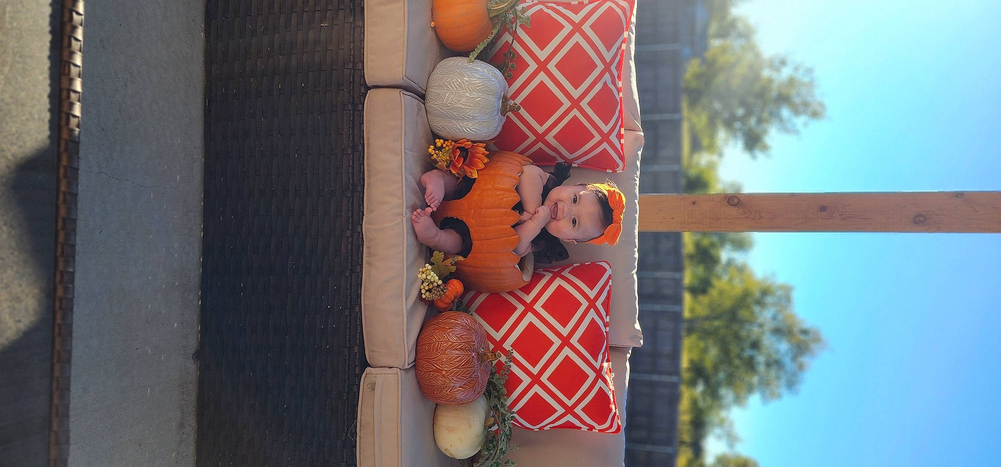 Madeline is registered to the contest to win money with this photo: animation, art, child, doll, event, hand, joy, leisure, orange, pattern, peach, person, recreation, room, sitting, sky, stuffed_toy, toy, tree, visual_arts