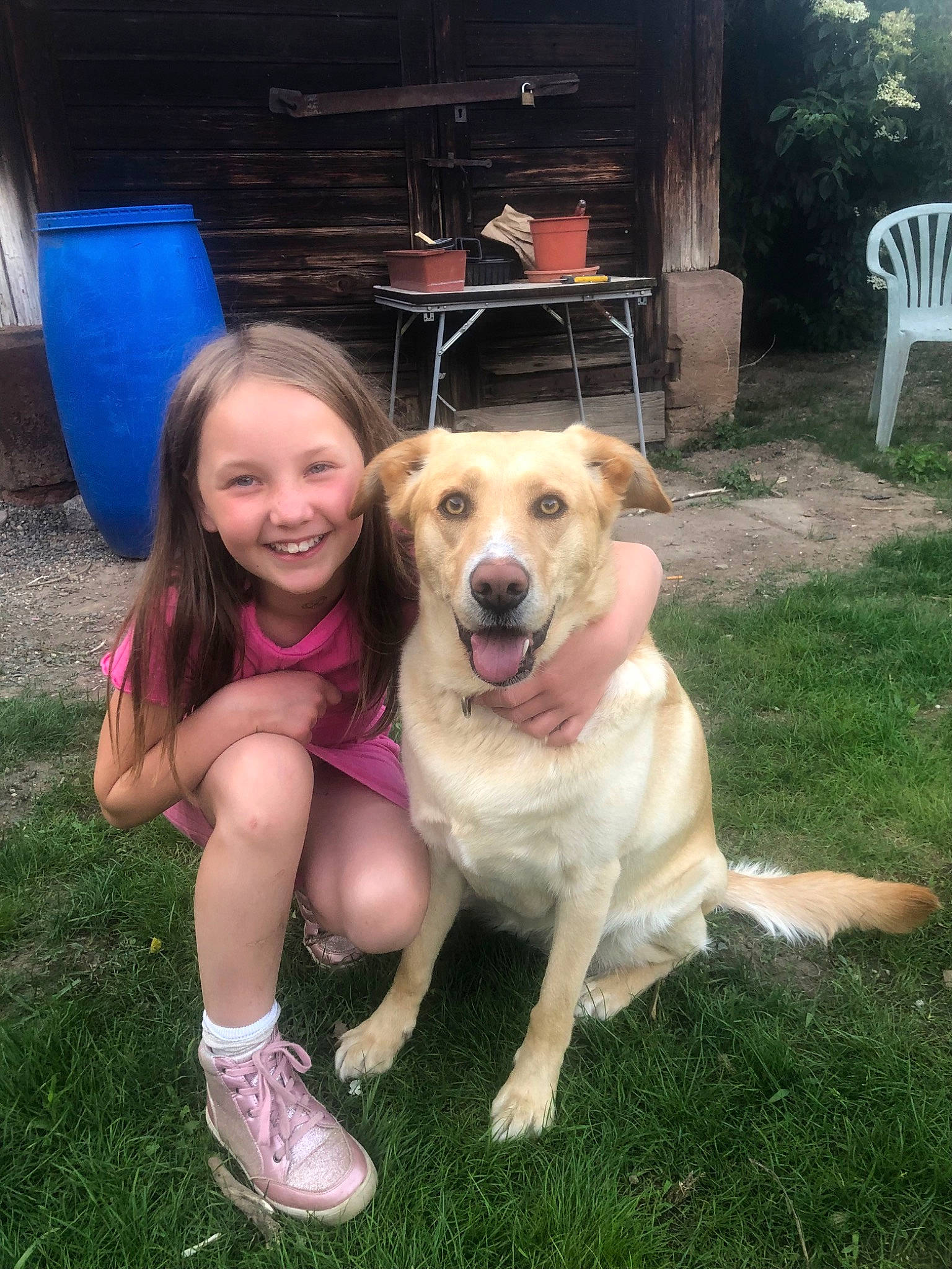 Rita participe au concours pour gagner de l'argent avec cette photo : canidae, carnivore, chair, companion_dog, dog, dog_breed, fawn, flip_flops, fun, grass, happy, leisure, livestock_guardian_dog, plant, recreation, sandal, smile, sporting_group, working_dog, yard