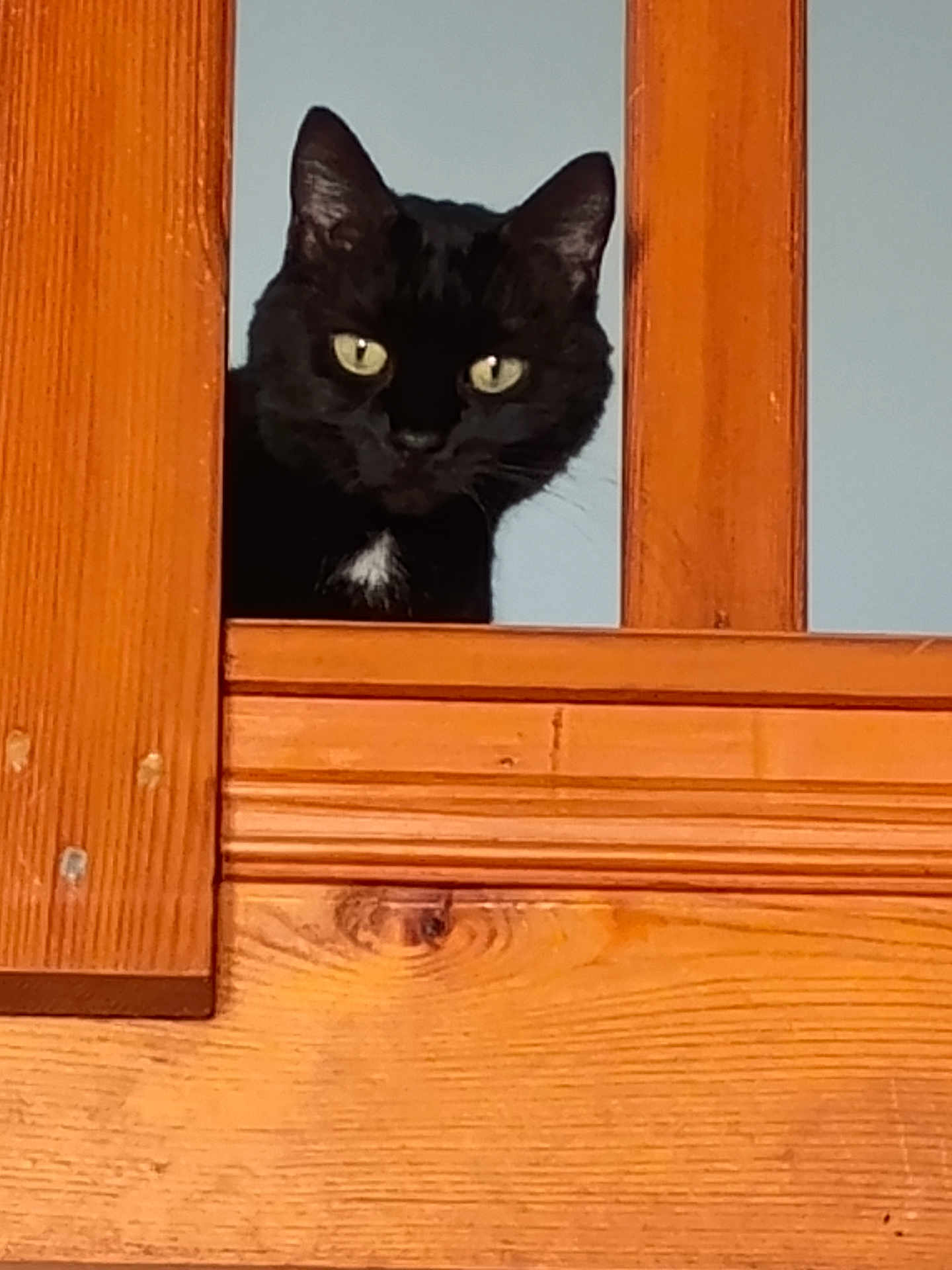 Kuro