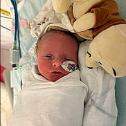 Giulia a rejoint le concours — aidez-le/la à gagner de superbes lots ! baby, bed, blanket, child, cozy, cute, cute_baby, dog_toy, face, healthcare, hospital, infant, medical_tape, newborn, peaceful, person, plush_toy, resting, soft, swaddled