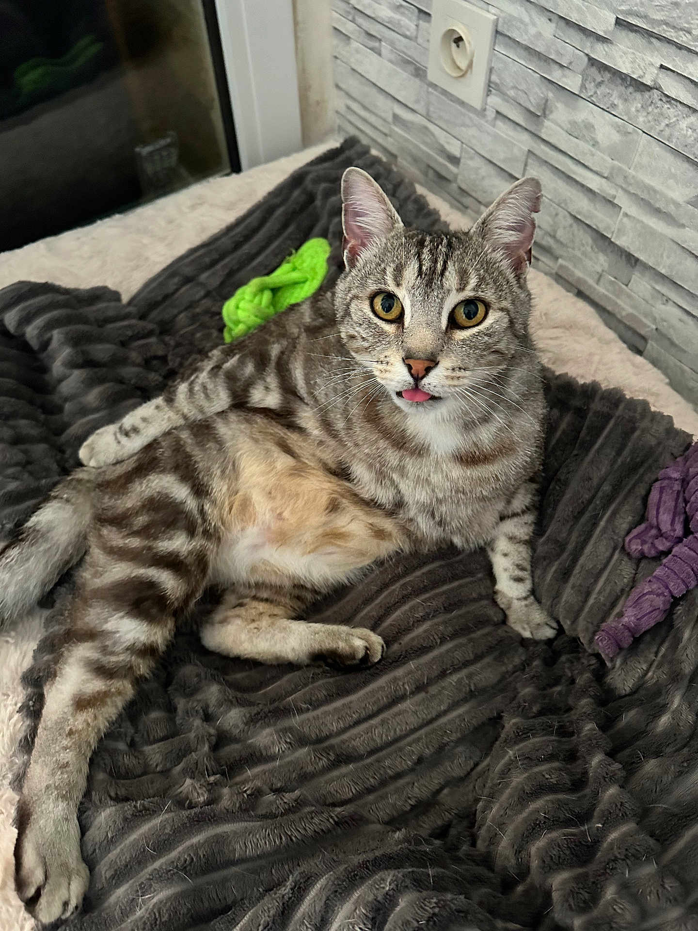 Simba