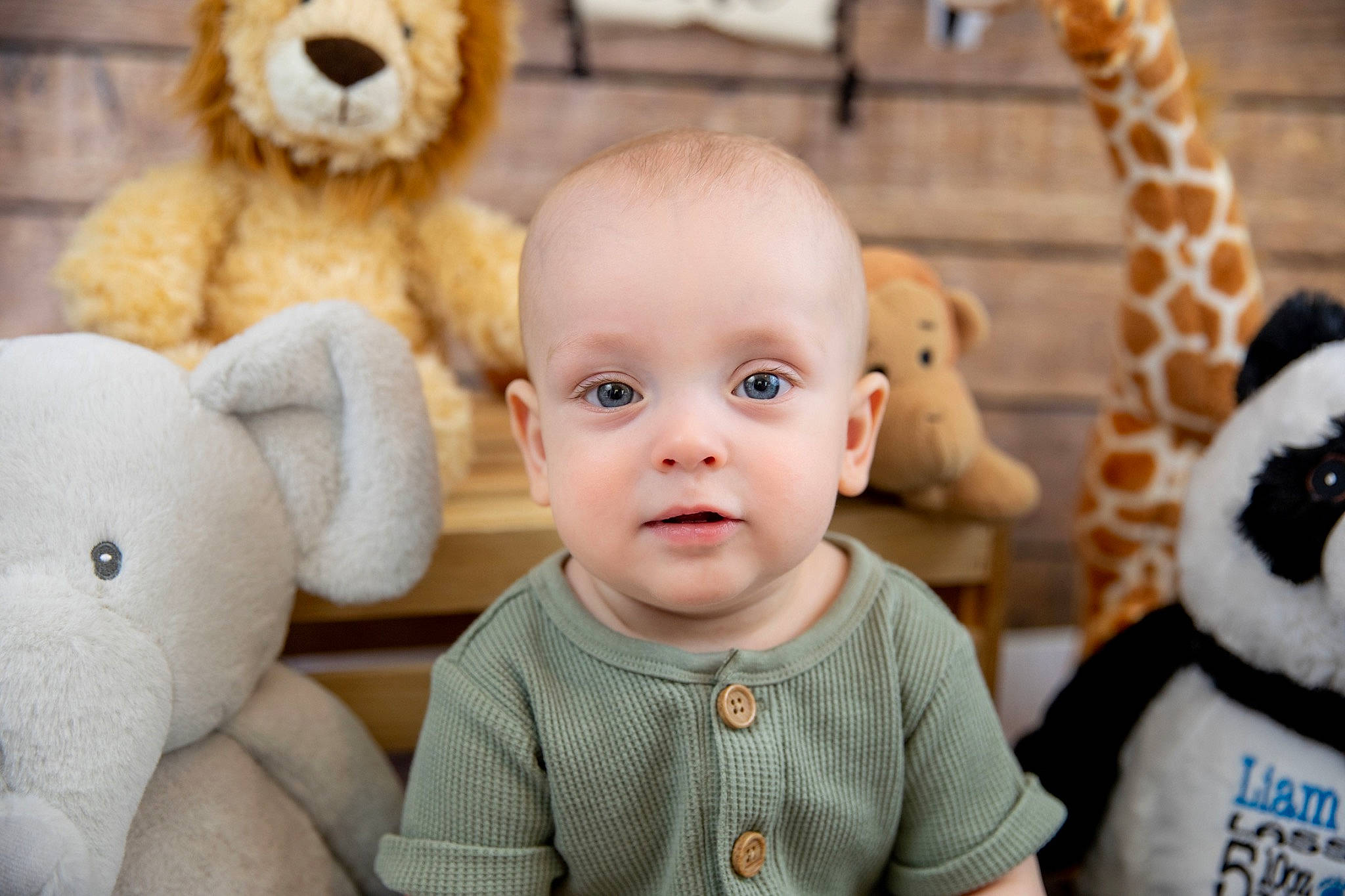 Liam joined the competition — help win amazing prizes! baby, baby_toddler_clothing, blue, cheek, child, eye, facial_expression, fawn, happy, head, interaction, nose, organ, person, photograph, product, skin, textile, toy, white