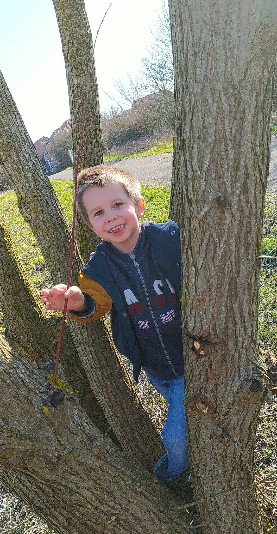 Timéo participe au concours pour gagner de l'argent avec cette photo : branch, fence, forest, fun, grass, happy, jacket, joy, leaf, leisure, people_in_nature, person, plant, recreation, sky, smile, tree, trunk, twig, wood