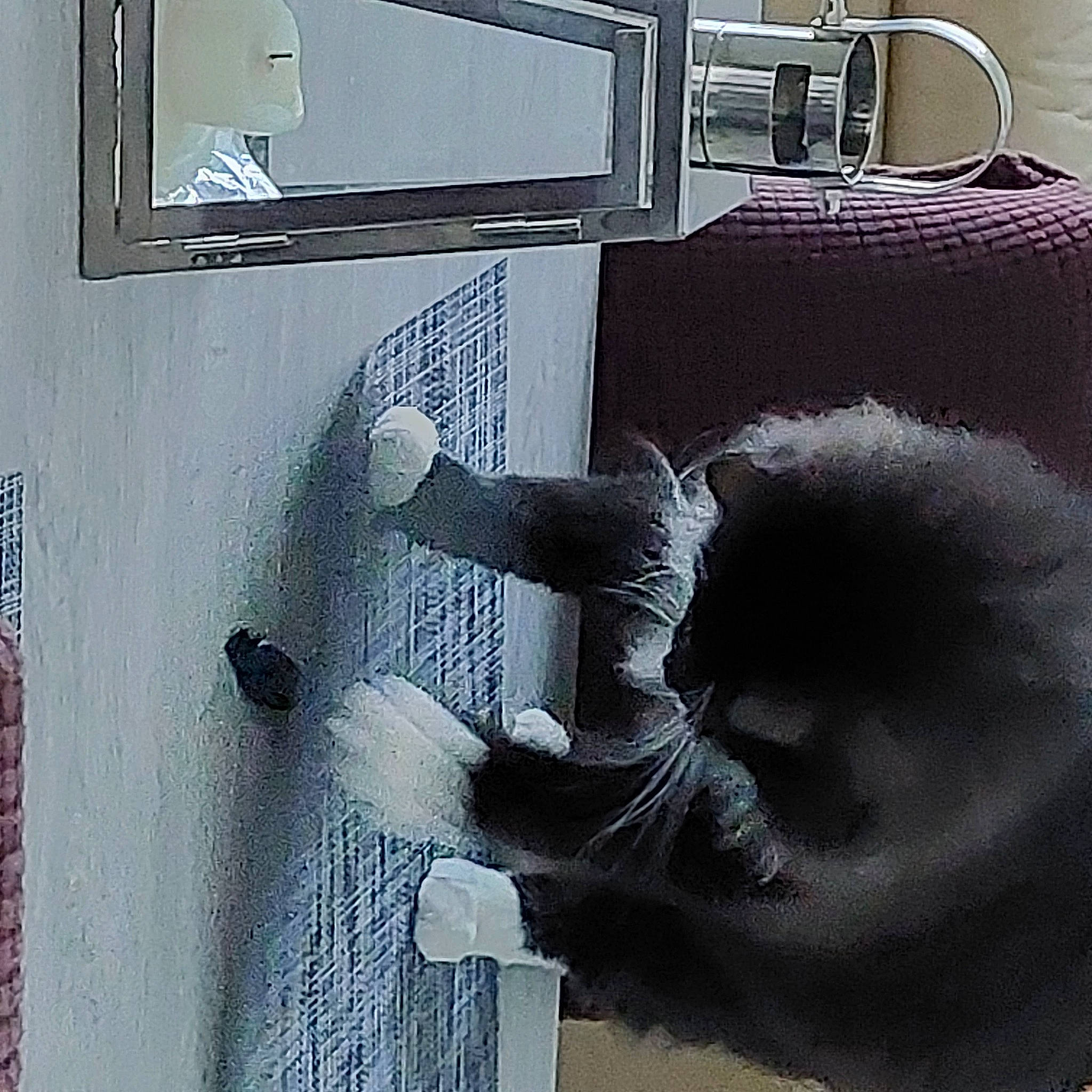 Leo Du Caillou a rejoint le concours — aidez-le/la à gagner de superbes lots ! art, bag, concrete, door_handle, facade, flooring, fur, grey, machine, metal, monochrome, monochrome_photography, paper, plaster, room, shadow, space, vehicle_door, visual_arts, wood