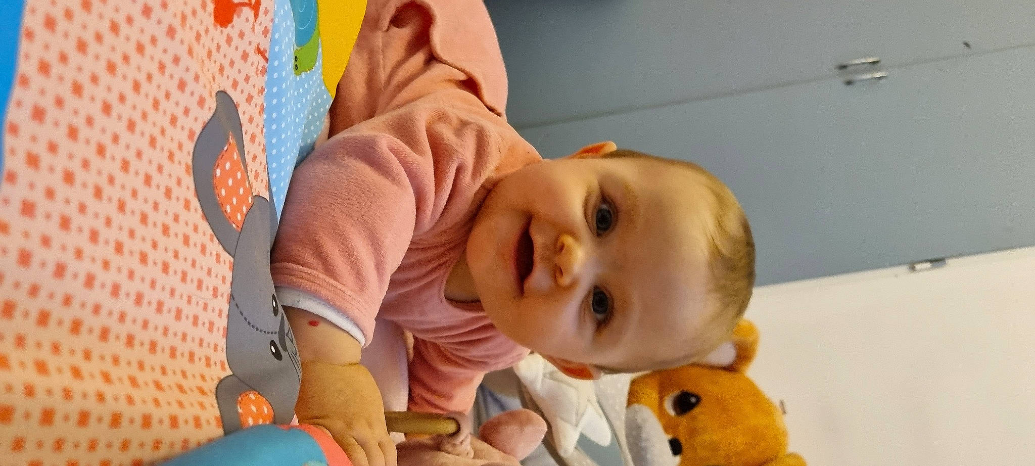 Shaïly participe au concours pour gagner de l'argent avec cette photo : baby, baby_toddler_clothing, cheek, child, comfort, eye, face, happy, head, iris, joy, mouth, nose, orange, person, photograph, product, skin, smile, textile