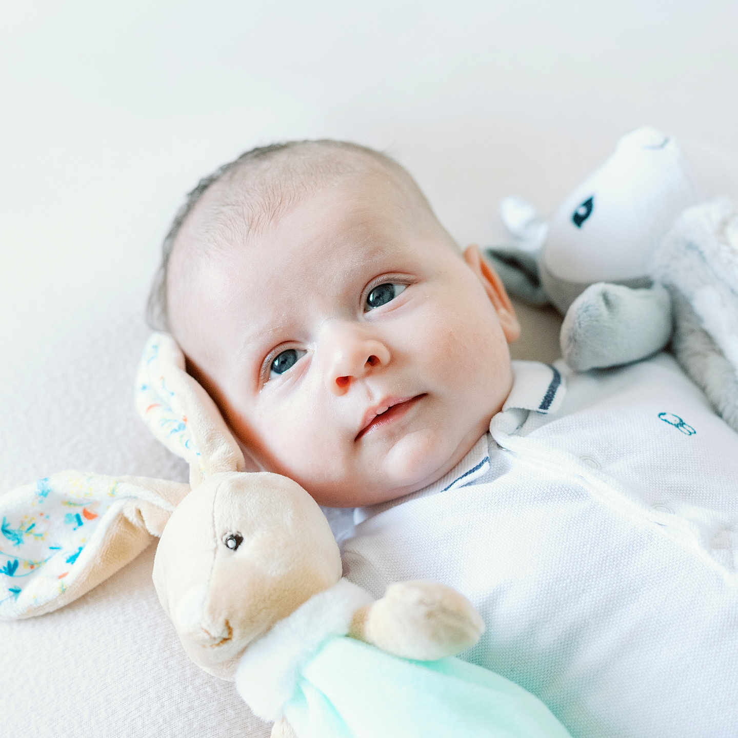 Elouan