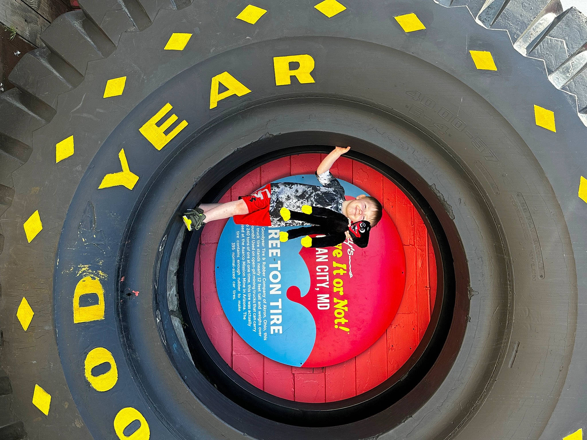 Kaine joined the competition — help win amazing prizes! auto_part, automotive_design, automotive_exterior, automotive_tire, automotive_wheel_system, circle, fender, font, joy, light, locking_hubs, mode_of_transport, motor_vehicle, person, rim, synthetic_rubber, tire, tire_care, tread, vehicle