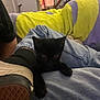 black_kitten, cat, denim, jeans, shoe, sole, blanket, yellow_blanket, purple_blanket, indoor, cozy, pet, furniture, relaxed, resting, animal, casual, home, cute, small