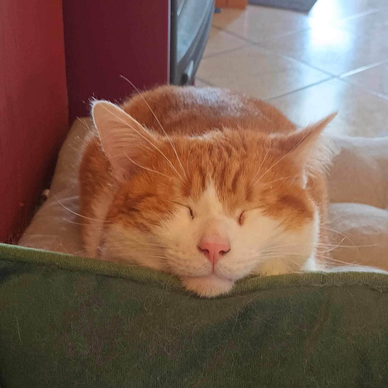 Charlie