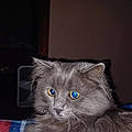 Roberta M.