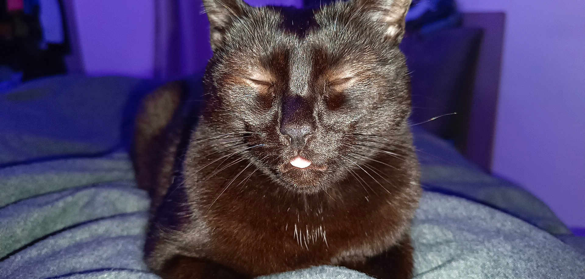 Marley