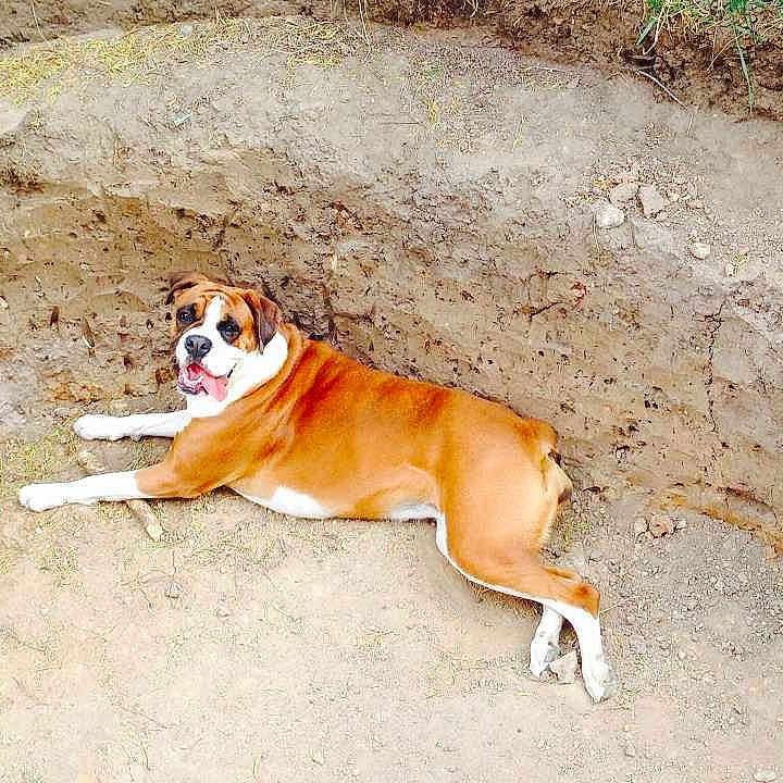 Ella joined the competition — help win amazing prizes!