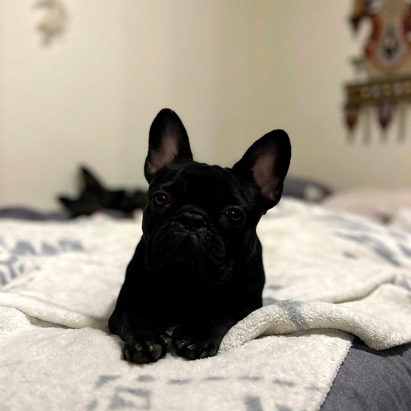 Minnie