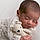 Naksh