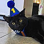black_cat, cat, party_hat, indoor, floor, pet, animal, celebration, number_one, wide_eyes, curious, lying_down, domestic_cat, feline, closeup, headwear, tile_floor, cute, young_cat, looking