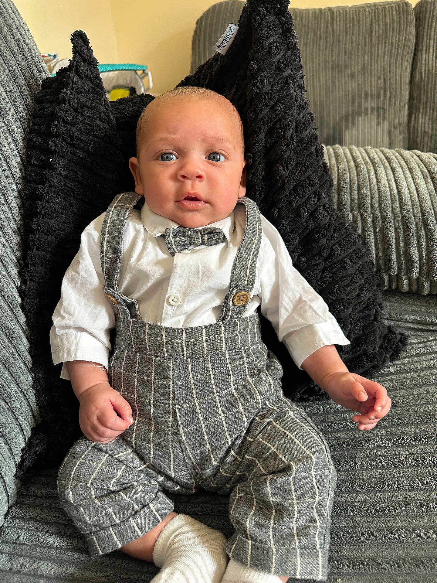 Reuben joined the competition — help win amazing prizes! baby, infant, child, boy, clothing, bow_tie, suspenders, shirt, pants, socks, couch, pillow, indoor, portrait, sitting, cute, face, expression, home, furniture