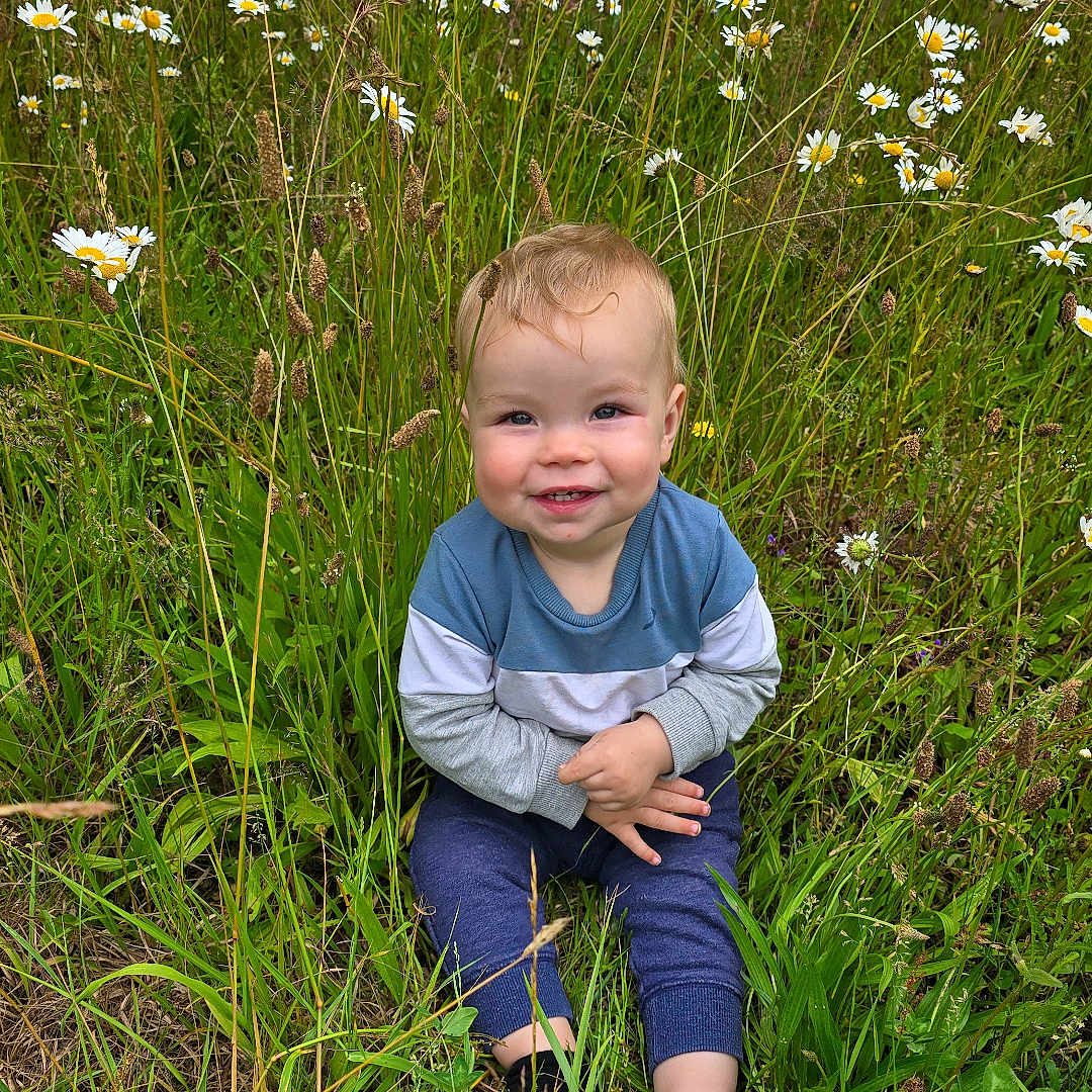 Mikota joined the competition — help win amazing prizes! baby, casual_clothing, child, cute, daisies, daylight, field, flora, grass, greenery, happy, nature, outdoor, plants, playful, portrait, sitting, smiling, toddler, wildflowers