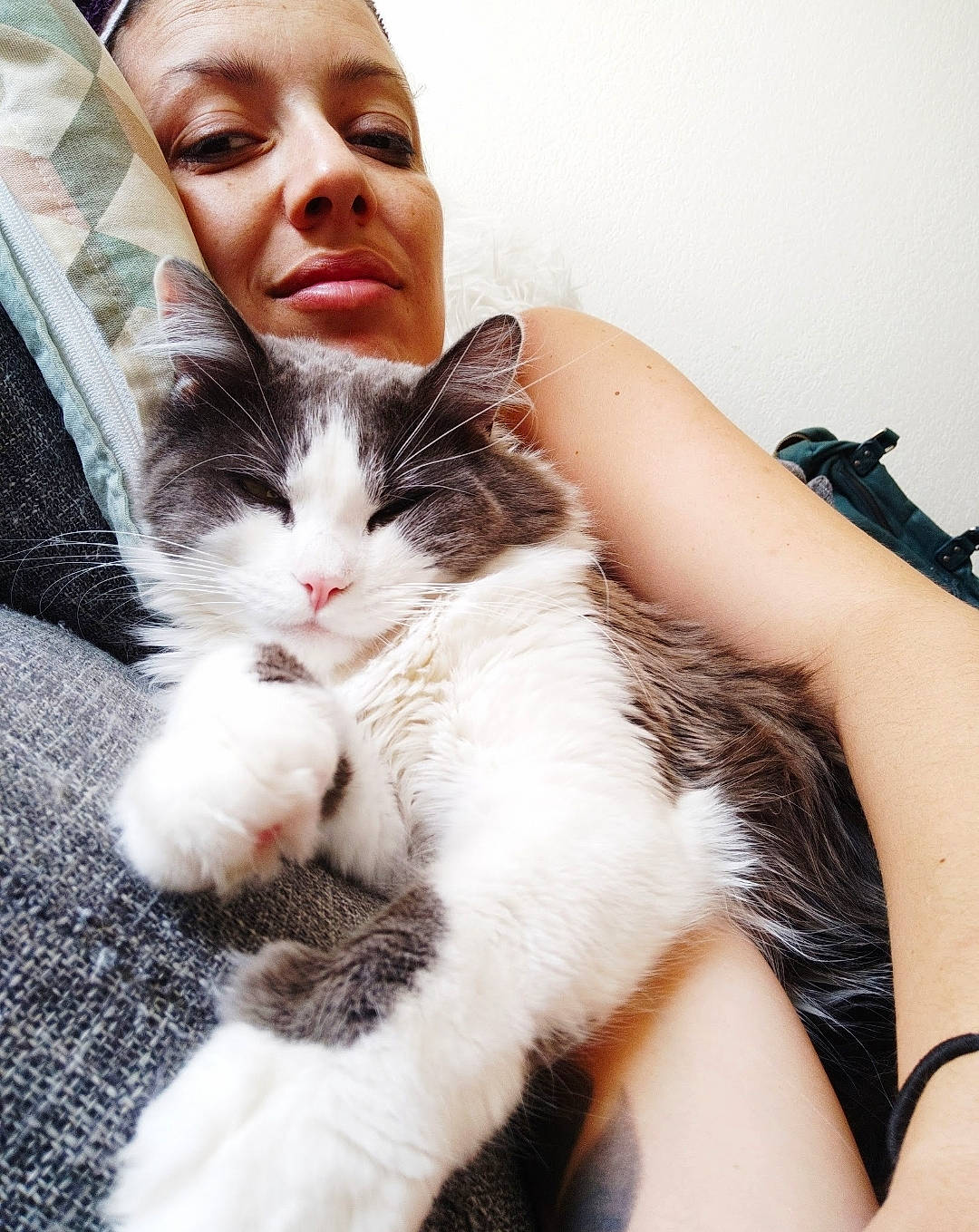 Grisou a rejoint le concours — aidez-le/la à gagner de superbes lots ! carnivore, cat, claw, comfort, cool, domestic_short_haired_cat, felidae, foot, fur, gesture, happy, human_leg, lap, love, paw, sitting, small_to_medium_sized_cats, snout, tail, whiskers