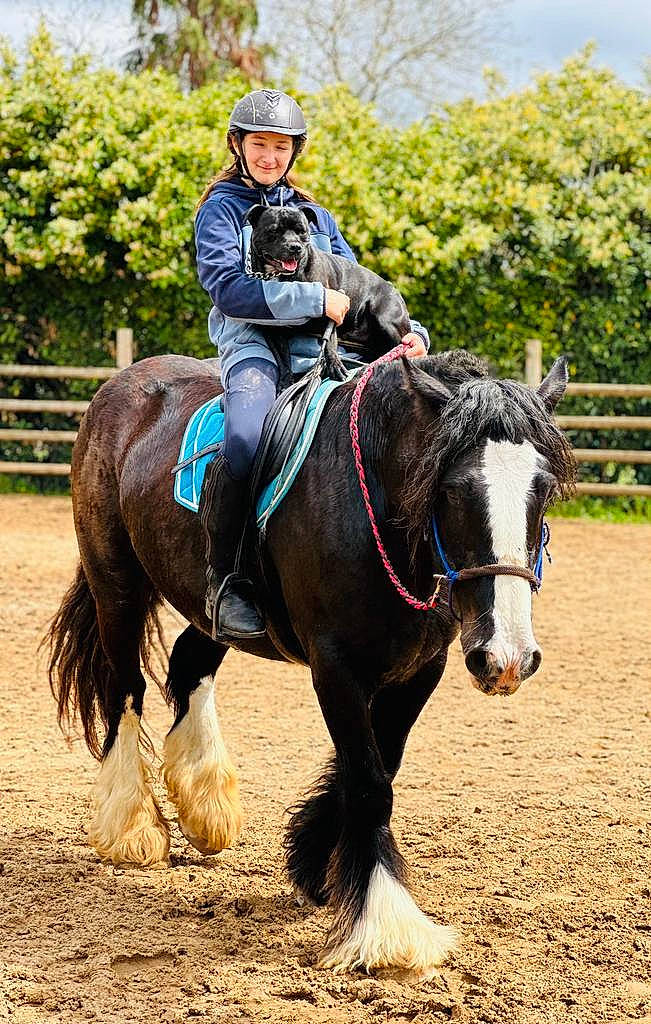 Spike participe au concours pour gagner de l'argent avec cette photo : animal_sports, bit, bridle, english_riding, equestrian_sport, equestrianism, event, eventing, horse, horse_supplies, horse_tack, jockey, mane, pack_animal, recreation, rein, saddle, tree, western_riding, working_animal