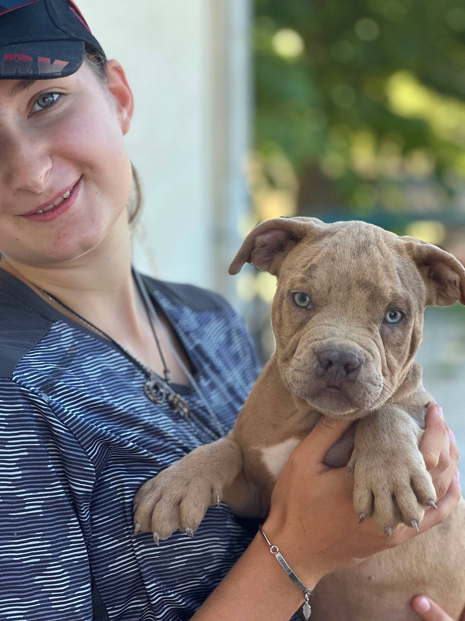 Scarface participe au concours pour gagner de l'argent avec cette photo : baseball_cap, blue, canidae, cap, carnivore, collar, companion_dog, dog, dog_breed, eyewear, fawn, happy, jewellery, smile, snout, sporting_group, terrestrial_animal, toy_dog, whiskers, working_animal