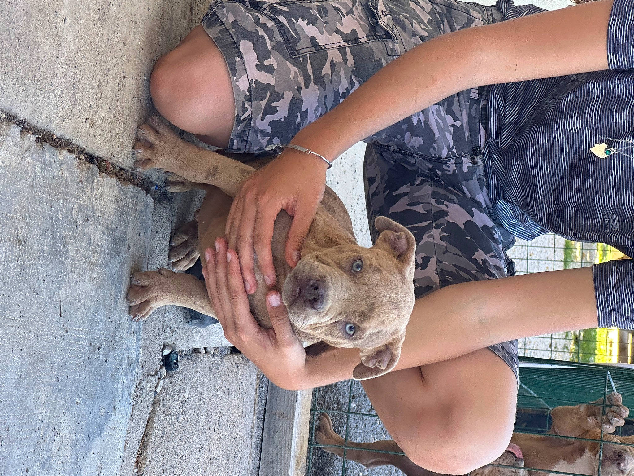 Scarface participe au concours pour gagner de l'argent avec cette photo : canidae, carnivore, dog_breed, fawn, felidae, foot, fur, human_leg, landscape, nail, recreation, sand, snout, soil, sporting_group, terrestrial_animal, wallaby, whiskers, wildlife, wildlife_biologist