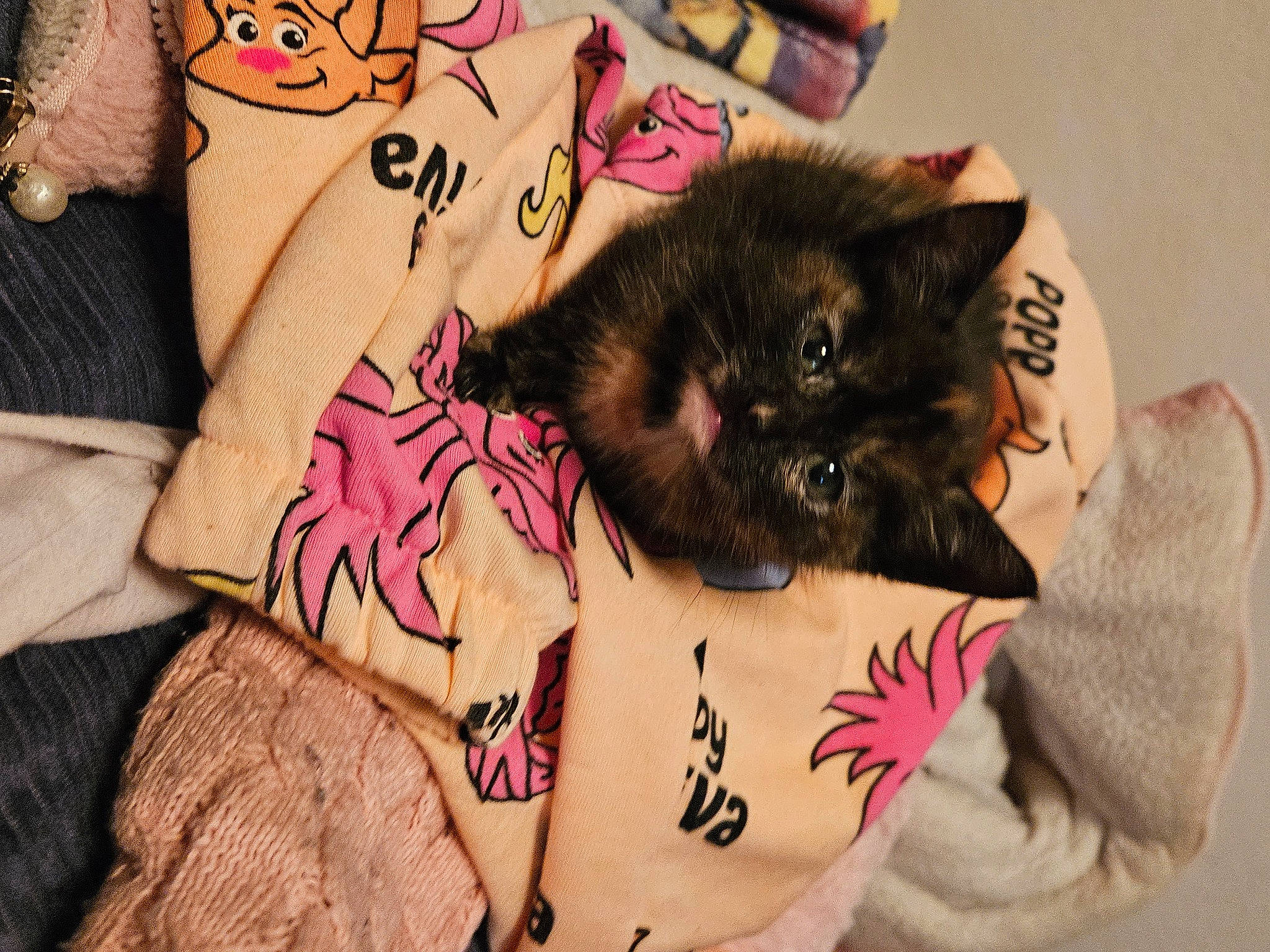 Carmella joined the competition — help win amazing prizes! carnivore, cat, companion_dog, eyelash, fawn, felidae, finger, gesture, human_leg, mammal, neck, pink, shoulder, sleeve, tattoo, temporary_tattoo, thigh, trunk, vertebrate, whiskers