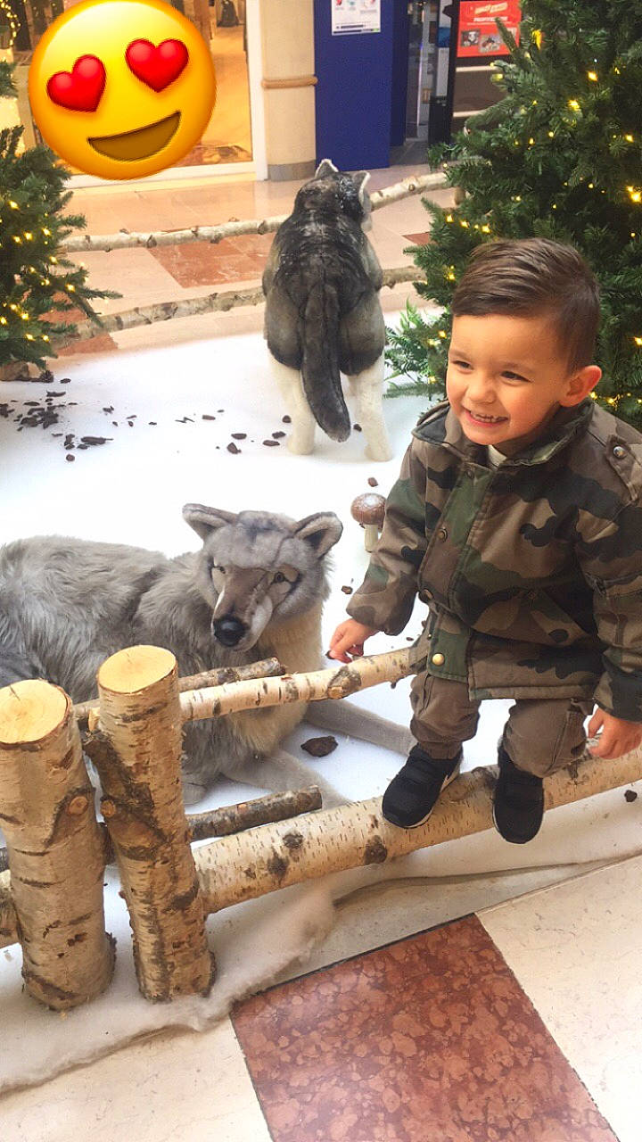 Jibril participe au concours pour gagner de l'argent avec cette photo : boot, christmas_tree, fawn, flooring, fun, fur, holiday, joy, leisure, person, photograph, recreation, sitting, smile, snapshot, toddler, tree, vertebrate, wildlife, winter