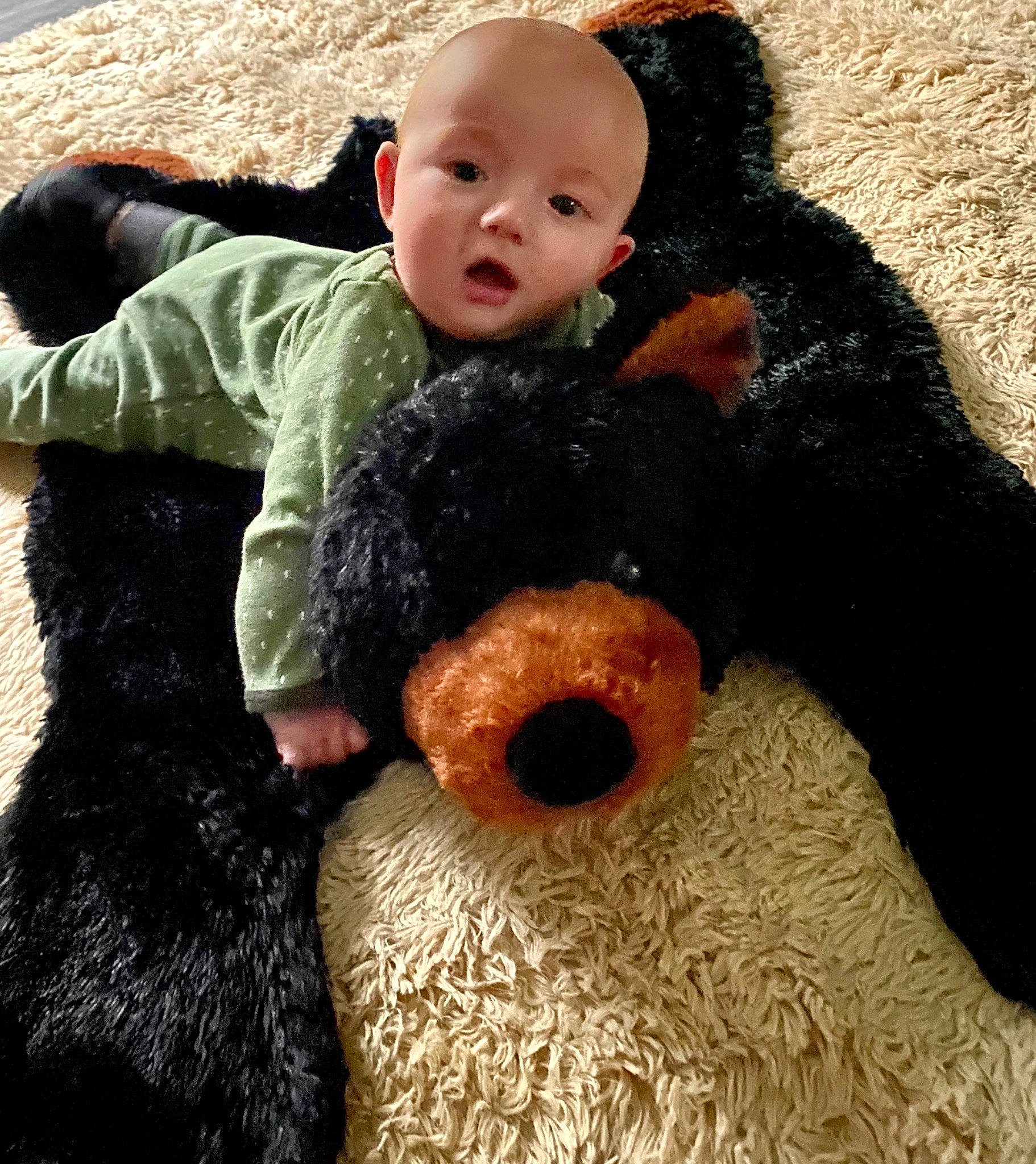 Eli joined the competition — help win amazing prizes! baby, baby_toddler_clothing, bear, cheek, child, comfort, doll, fur, gesture, headgear, mammal, person, plush, sleeve, stuffed_toy, surprise, teddy_bear, textile, toddler, toy