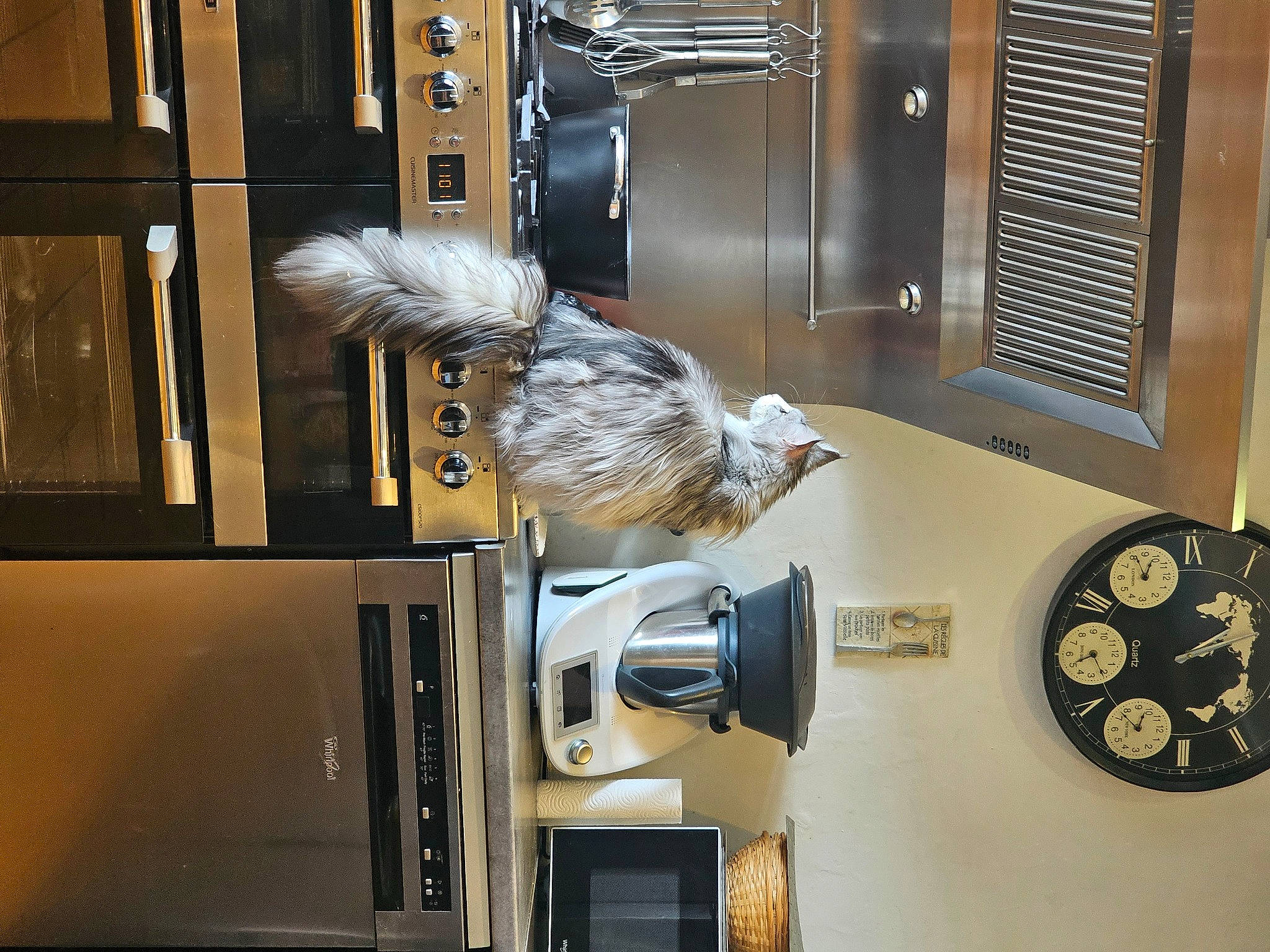 Plume a rejoint le concours — aidez-le/la à gagner de superbes lots ! audio_equipment, automotive_design, building, clock, display_case, eyewear, feather, fur, gas, glass, home_appliance, interior_design, kitchen_appliance, machine, major_appliance, metal, plant, room, tail, wood