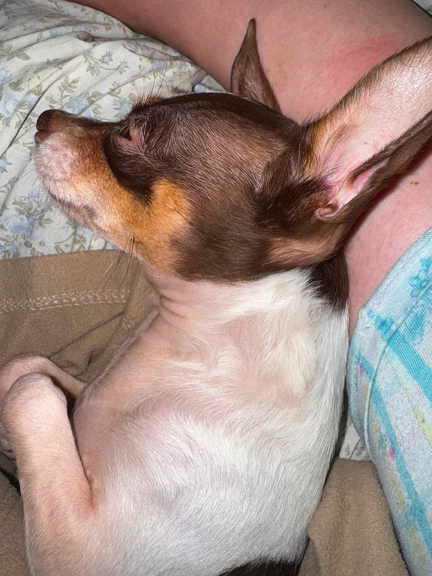 Max
