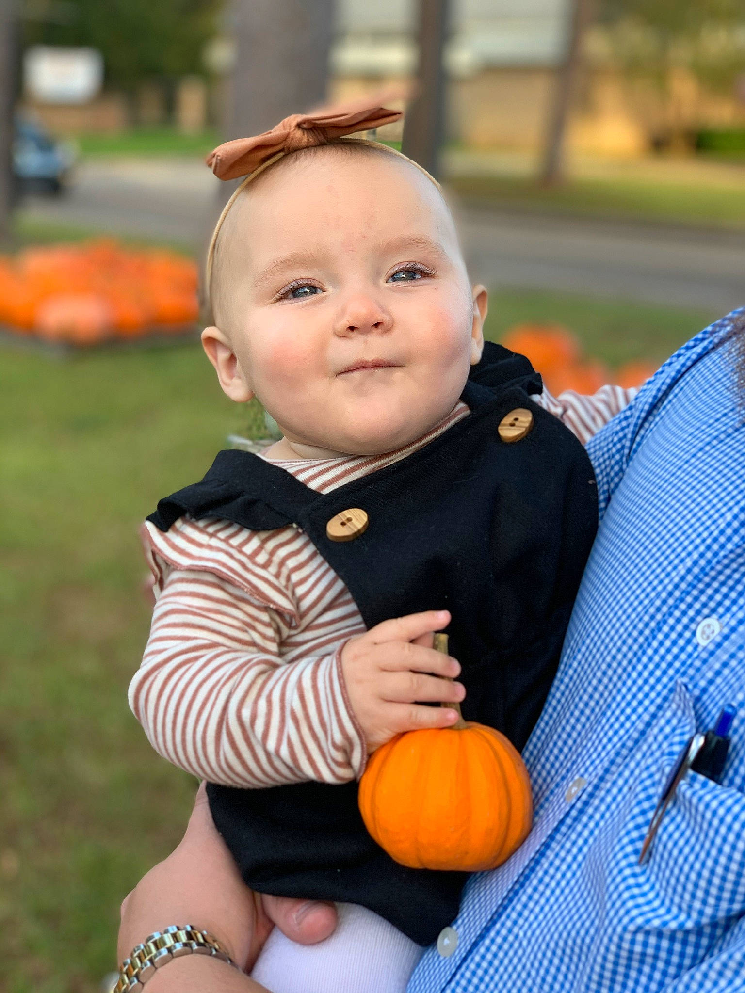 Hallie joined the competition — help win amazing prizes! baby, calabaza, child, cucurbita, face, fruit, grass, male, orange, outerwear, people, person, plant, play, portrait_photography, pumpkin, smile, toddler, trick_or_treat