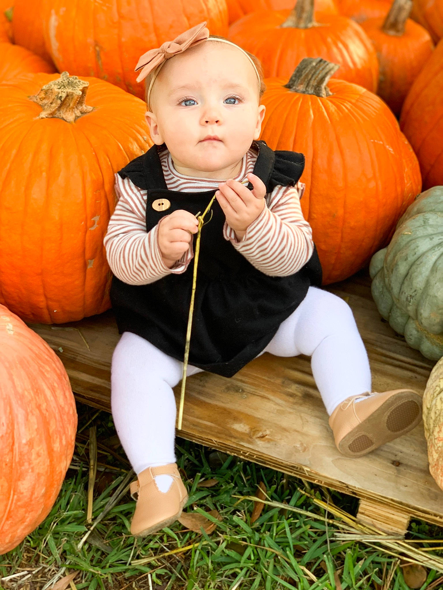 Hallie joined the competition — help win amazing prizes! _and_melon_family, _gourd, autumn, calabaza, child, cucumber, cucurbita, food, fruit, gourd, grass, local_food, orange, person, plant, produce, pumpkin, sitting, squash, toddler