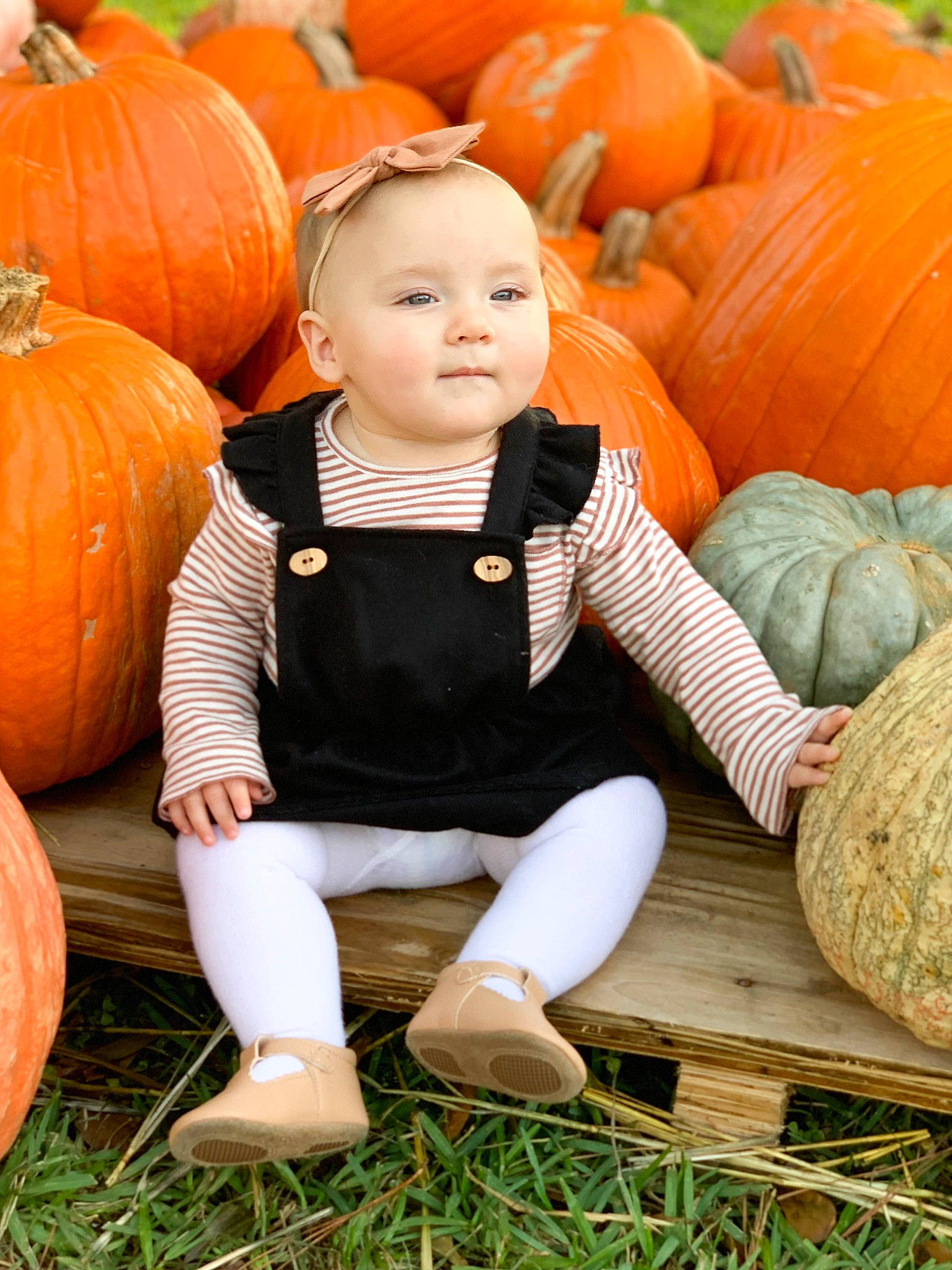 Hallie is registered to the contest to win money with this photo: _and_melon_family, _gourd, autumn, baby, calabaza, child, cucumber, cucurbita, food, fruit, gourd, grass, orange, person, plant, pumpkin, sitting, smile, squash, toddler