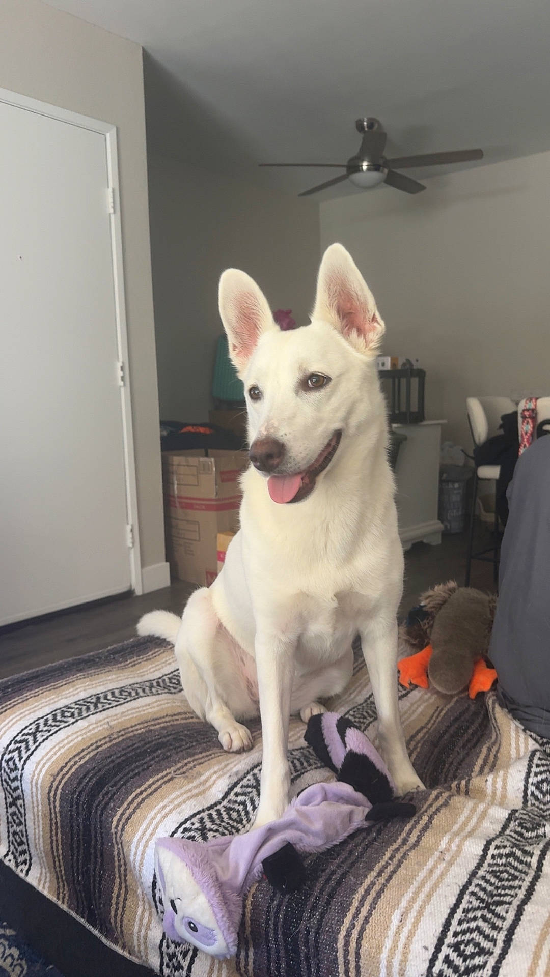 Maggie