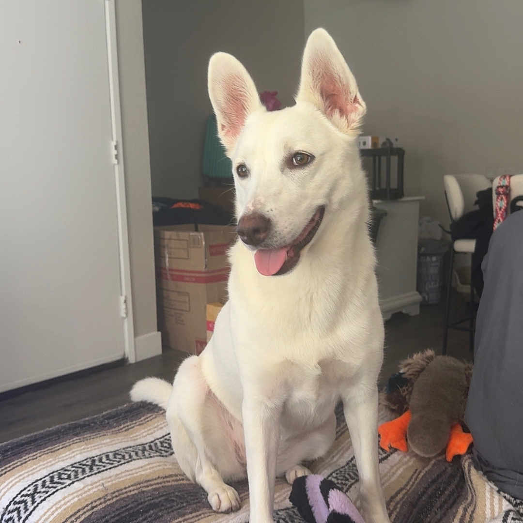 Maggie