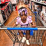 Serenity joined the competition — help win amazing prizes! baby, child, shopping_cart, store_aisle, purple_outfit, headband, serious_expression, shopping, retail, floor, socks, metal_cart, grip, aisle, products, shelves, indoor, person, infant, clothing