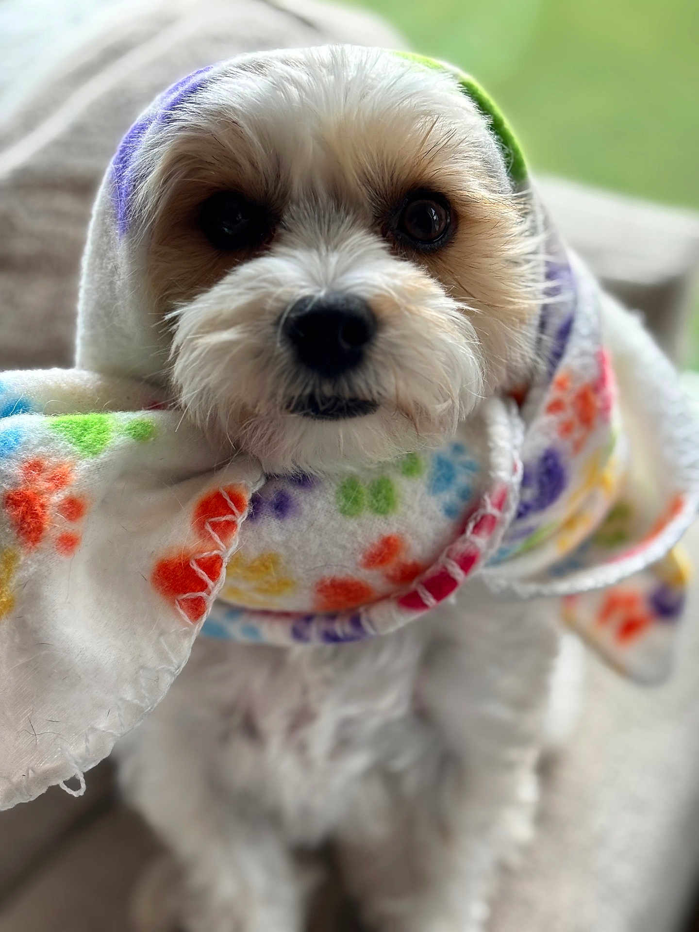 Pebbles