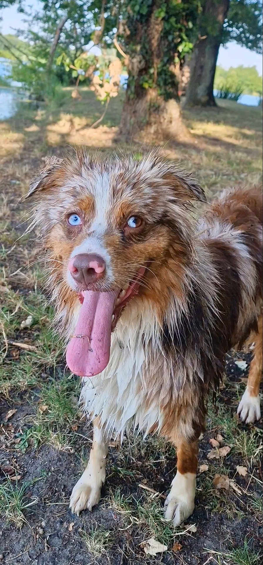 Suzie